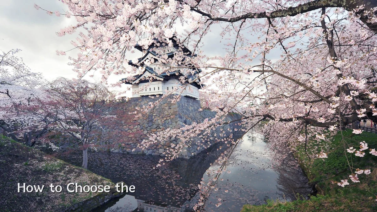 How to Choose the