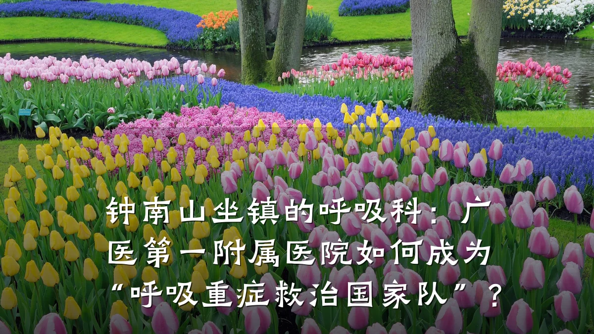钟南山坐镇的呼吸科:广医第一附属医院如何成为“呼吸重症救治国家队”?