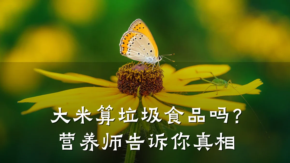 大米算垃圾食品吗？营养师告诉你真相