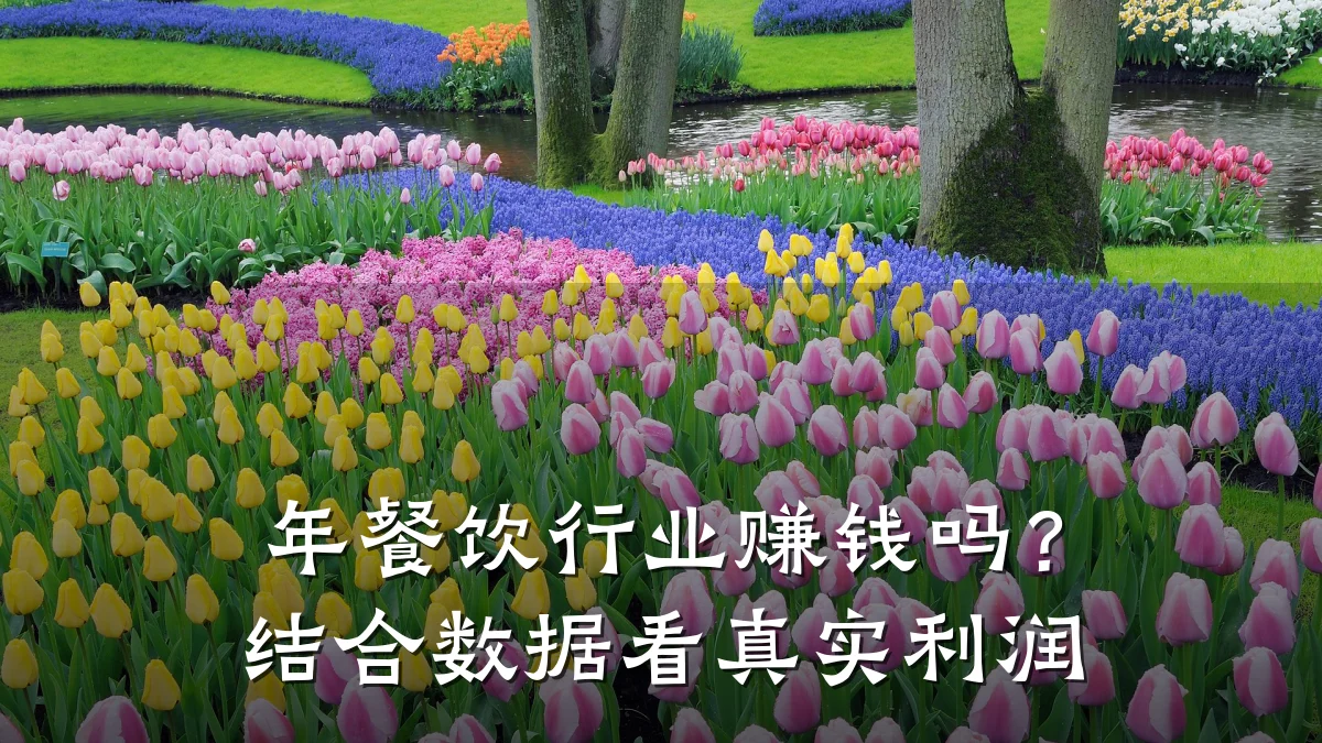 年餐饮行业赚钱吗?结合数据看真实利润