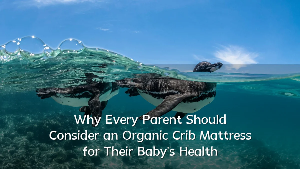 Why Every Parent Should Consider an Organic Crib Mattress for Their Baby's Health