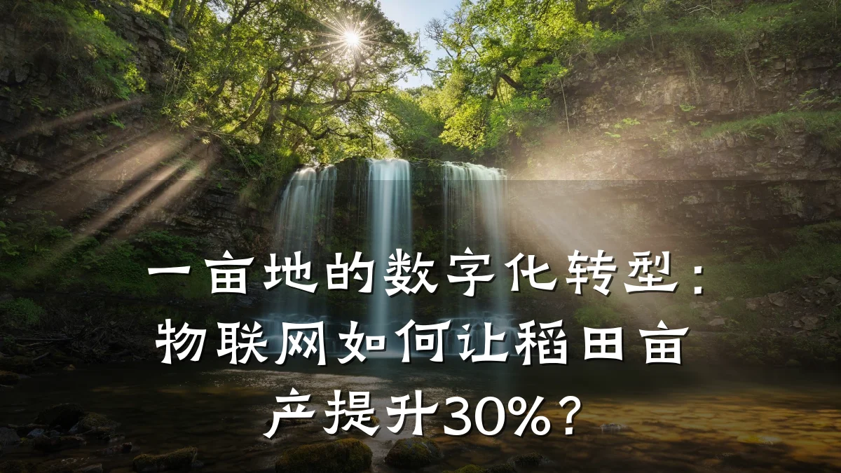 一亩地的数字化转型:物联网如何让稻田亩产提升30%?