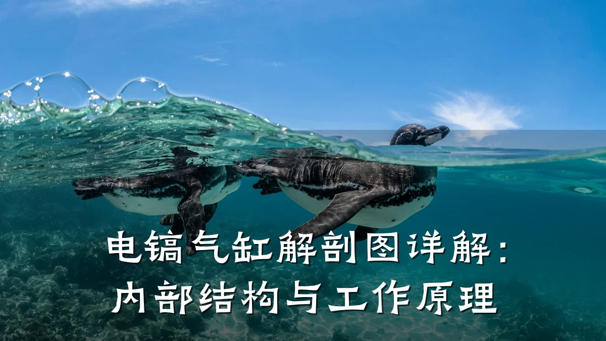 电镐气缸解剖图详解：内部结构与工作原理