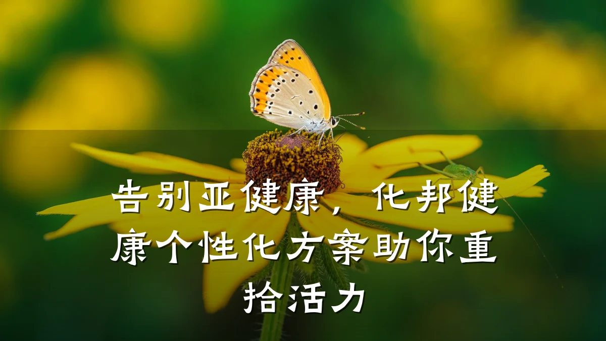 告别亚健康,化邦健康个性化方案助你重拾活力