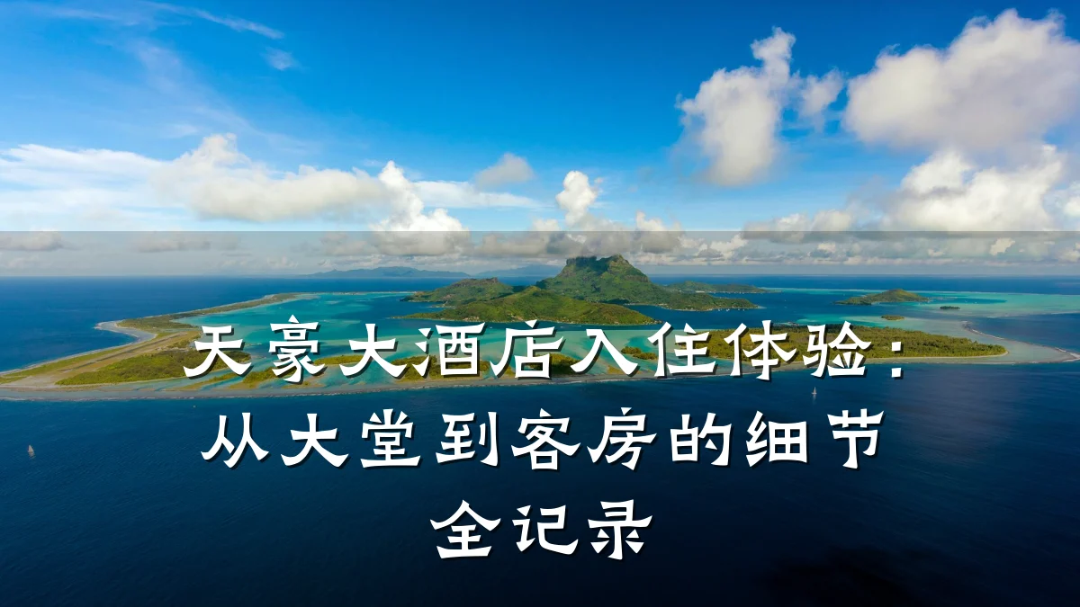 天豪大酒店入住体验:从大堂到客房的细节全记录