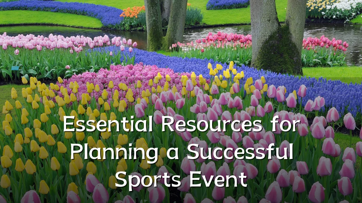 Essential Resources for Planning a Successful Sports Event