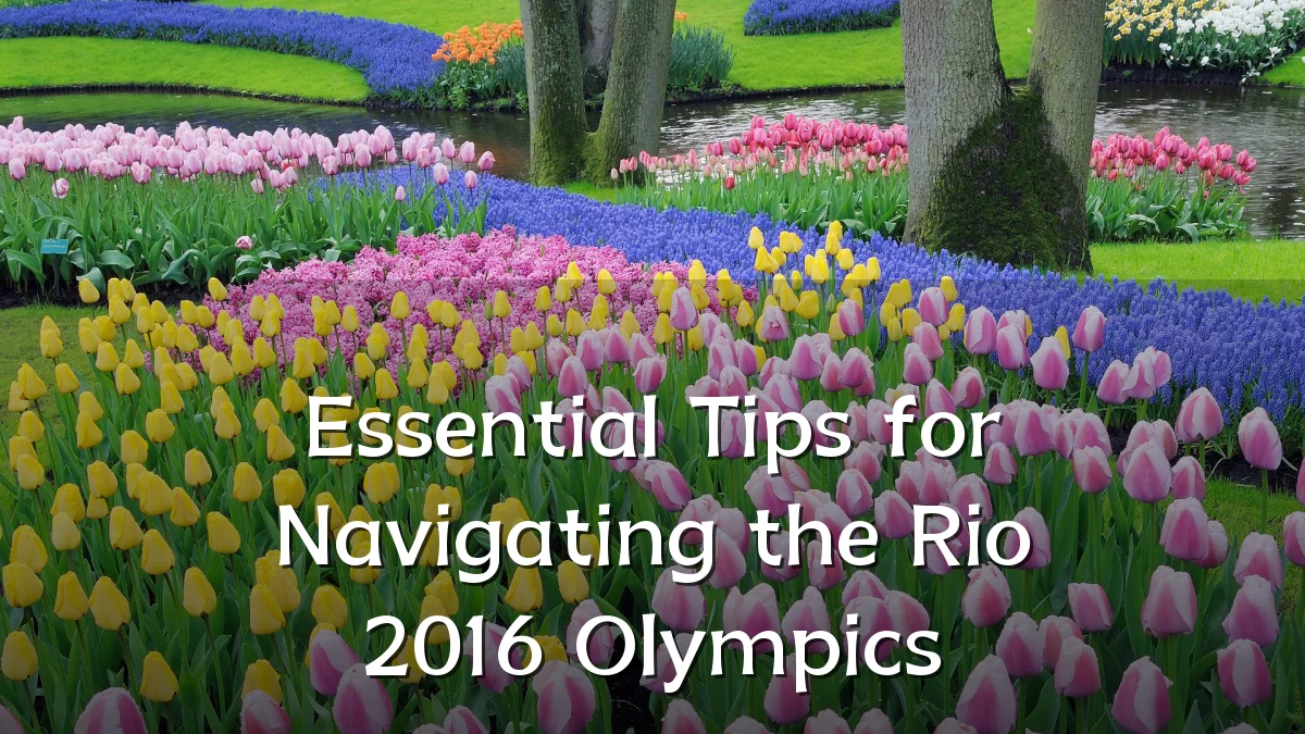 Essential Tips for Navigating the Rio 2016 Olympics