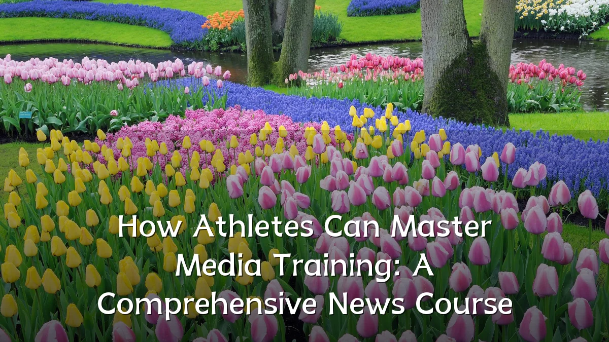 How Athletes Can Master Media Training: A Comprehensive News Course