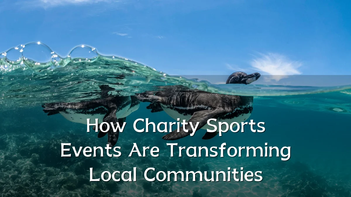 How Charity Sports Events Are Transforming Local Communities
