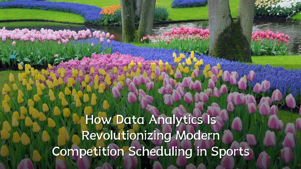 How Data Analytics Is Revolutionizing Modern Competition Scheduling in Sports