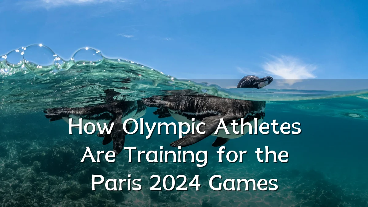 How Olympic Athletes Are Training for the Paris 2024 Games