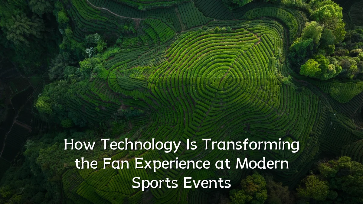 How Technology Is Transforming the Fan Experience at Modern Sports Events