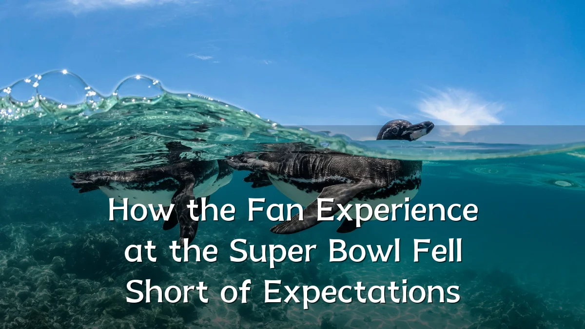 How the Fan Experience at the Super Bowl Fell Short of Expectations