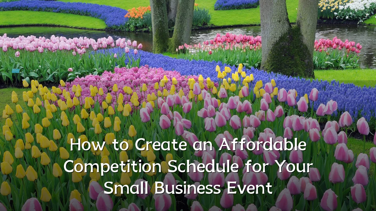 How to Create an Affordable Competition Schedule for Your Small Business Event