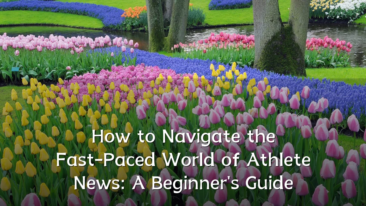 How to Navigate the Fast-Paced World of Athlete News: A Beginner's Guide