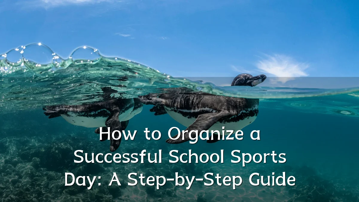 How to Organize a Successful School Sports Day: A Step-by-Step Guide