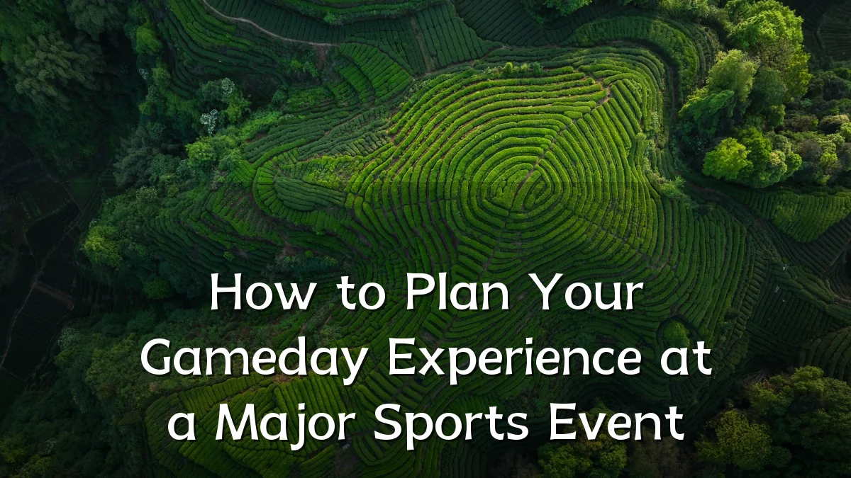 How to Plan Your Gameday Experience at a Major Sports Event