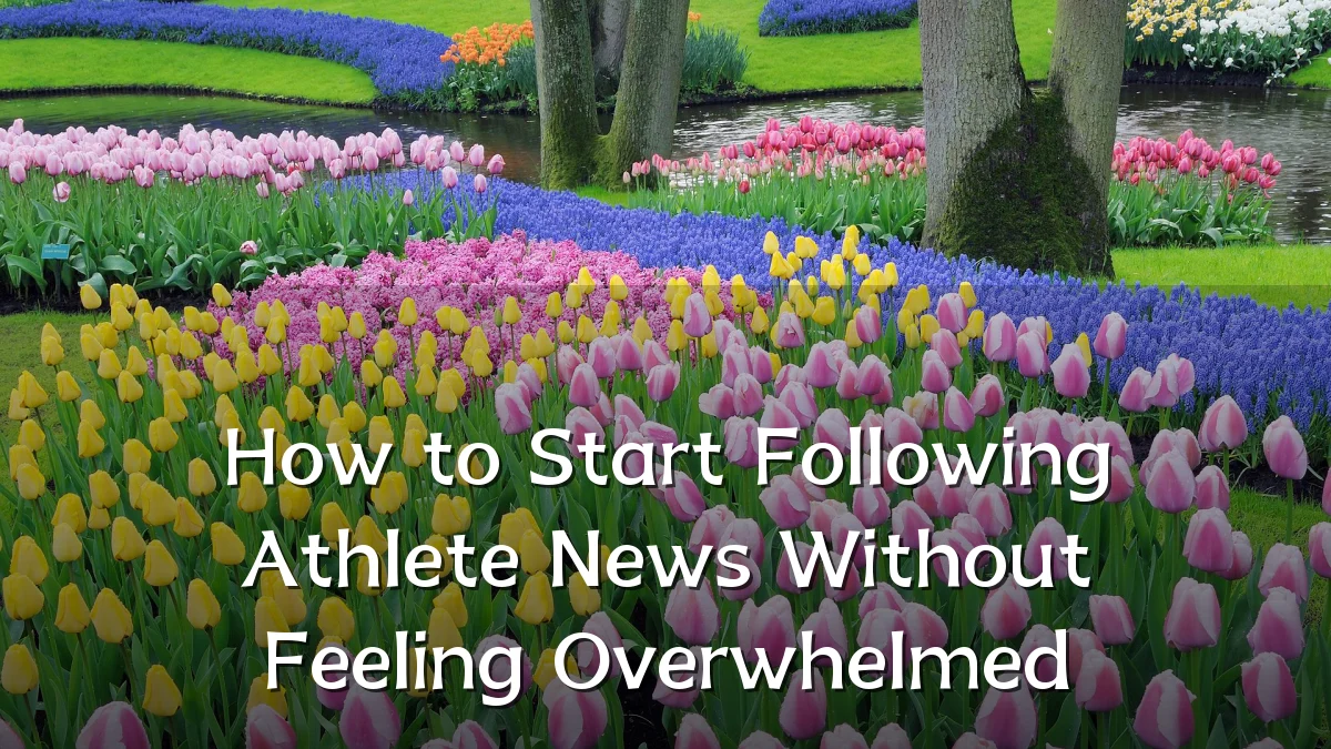 How to Start Following Athlete News Without Feeling Overwhelmed