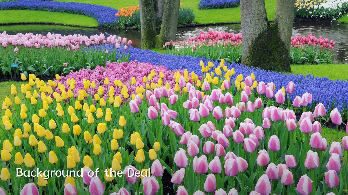 Background of the Deal
