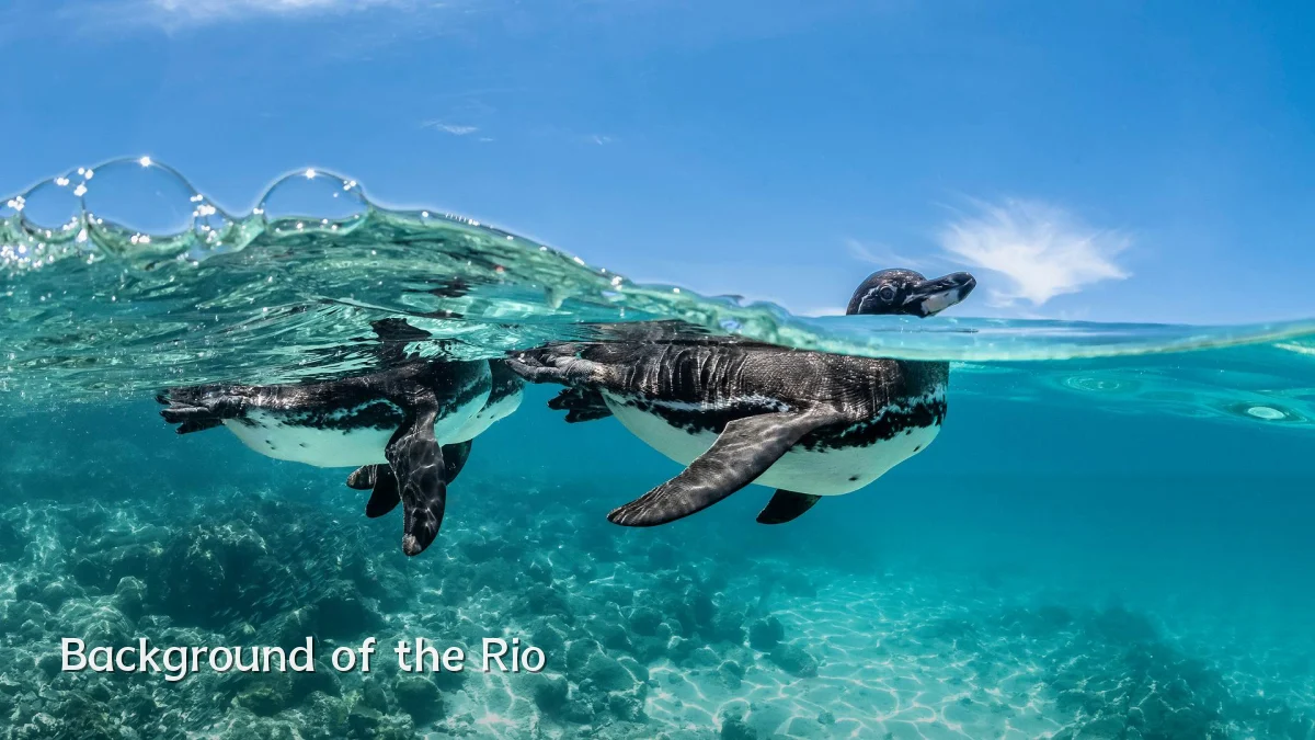 Background of the Rio