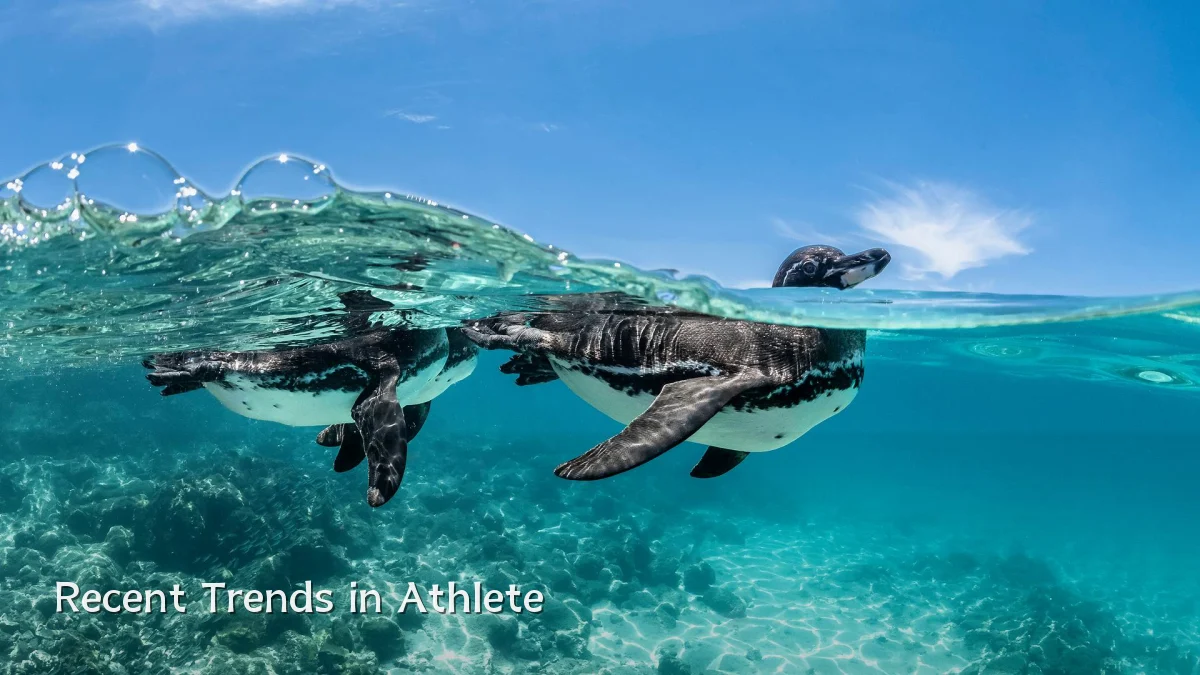 Recent Trends in Athlete