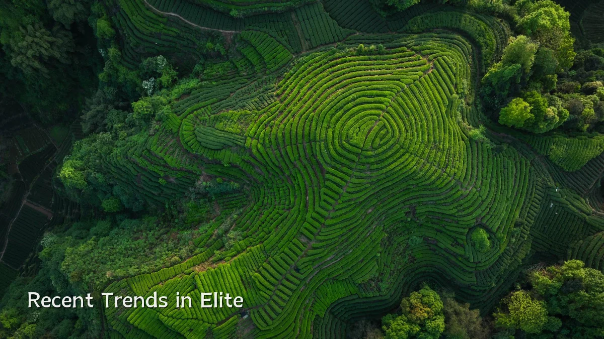 Recent Trends in Elite