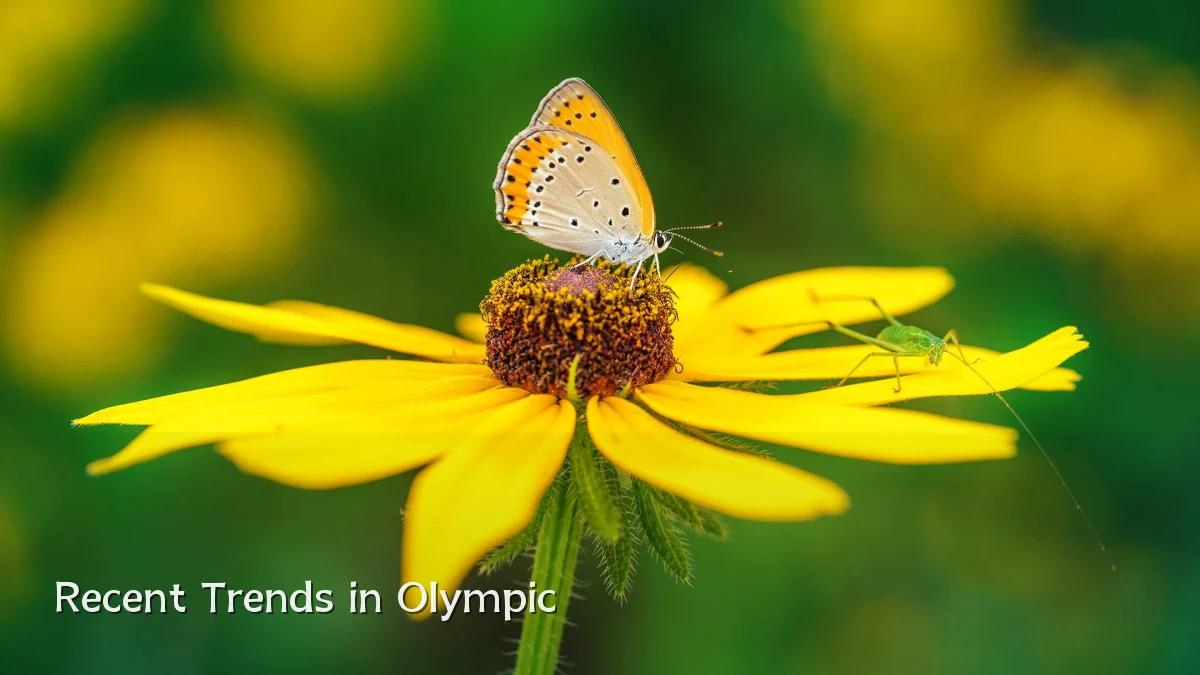 Recent Trends in Olympic