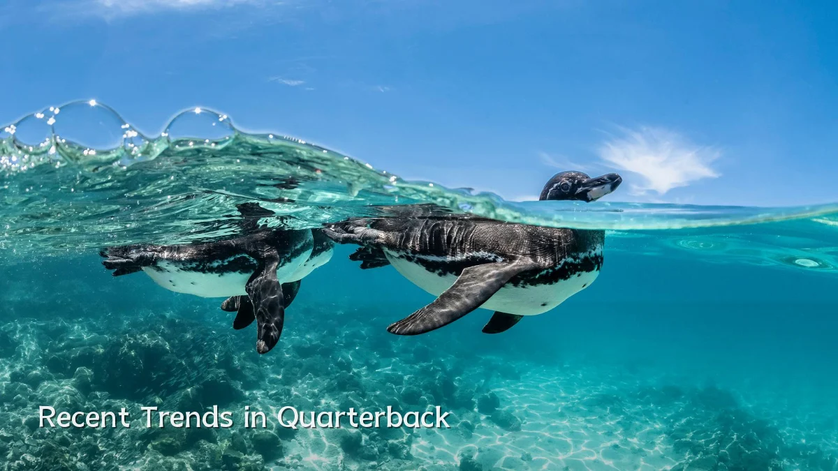 Recent Trends in Quarterback