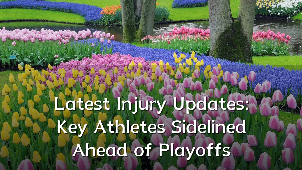 Latest Injury Updates: Key Athletes Sidelined Ahead of Playoffs