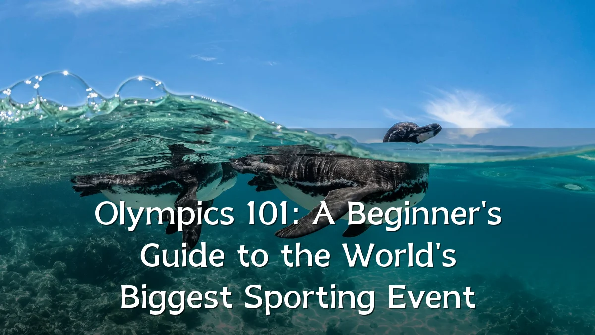 Olympics 101: A Beginner's Guide to the World's Biggest Sporting Event