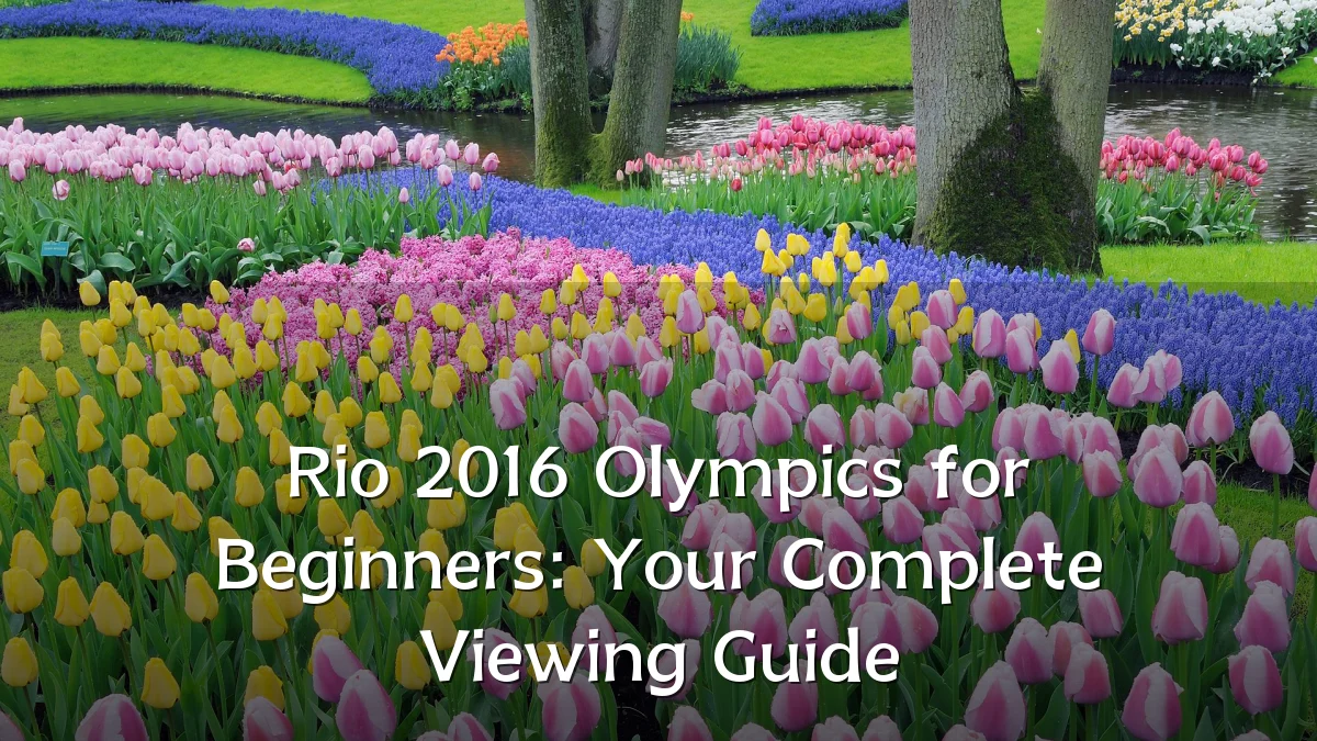 Rio 2016 Olympics for Beginners: Your Complete Viewing Guide
