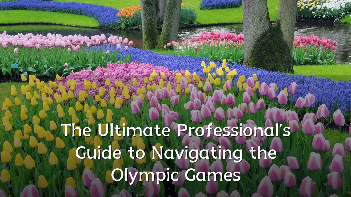 The Ultimate Professional's Guide to Navigating the Olympic Games
