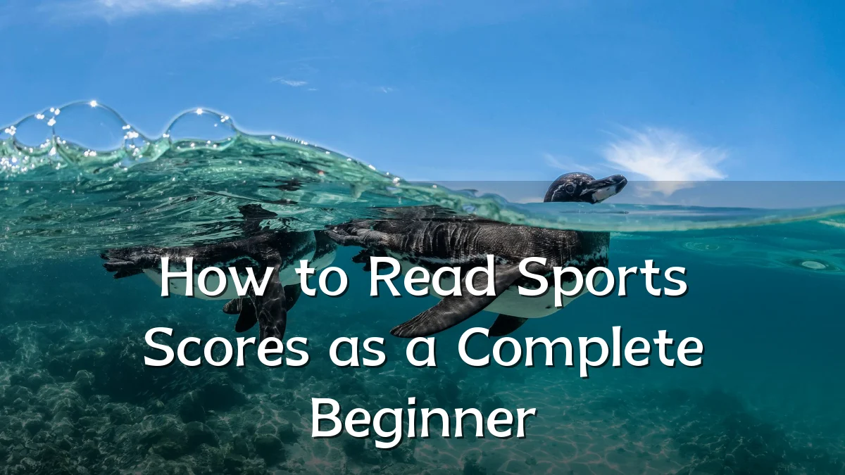 How to Read Sports Scores as a Complete Beginner