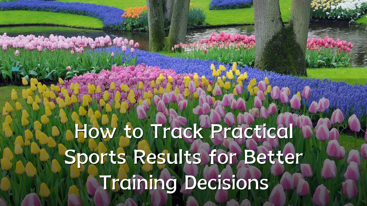 How to Track Practical Sports Results for Better Training Decisions