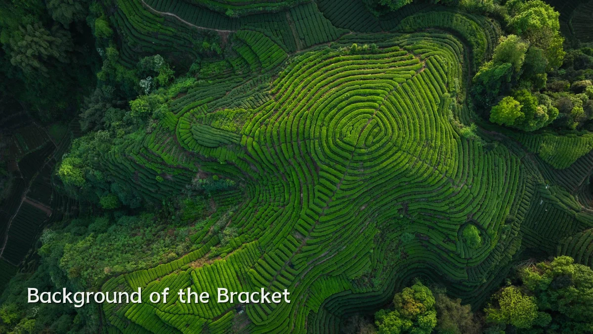 Background of the Bracket