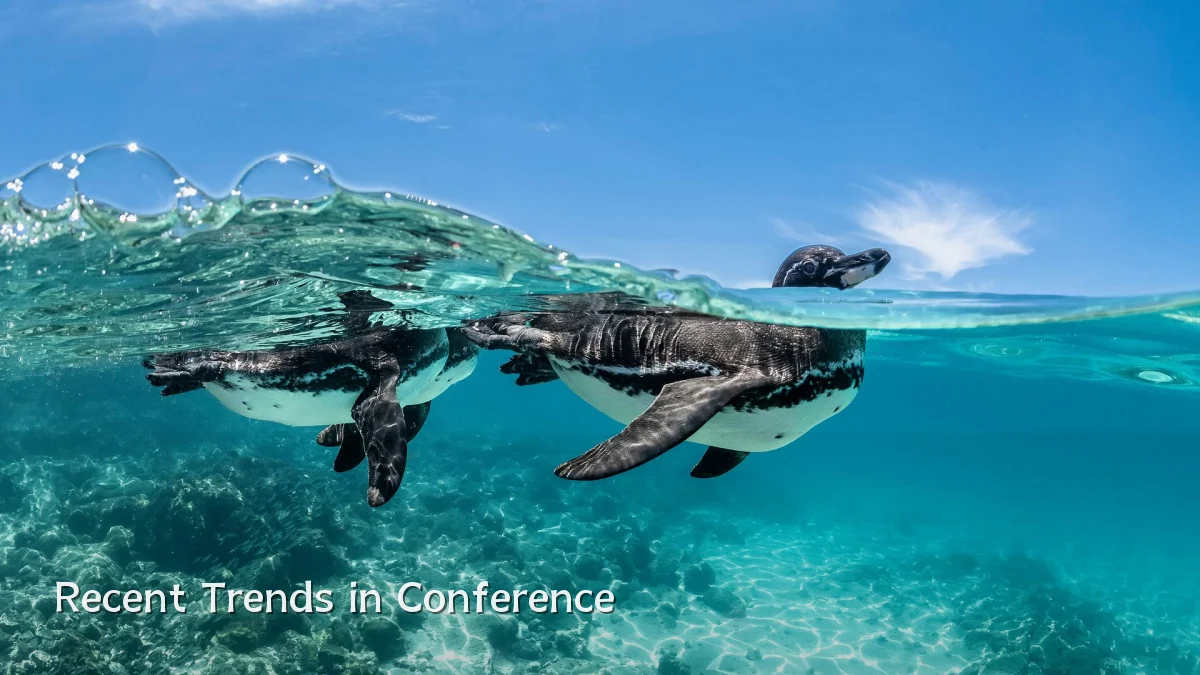 Recent Trends in Conference