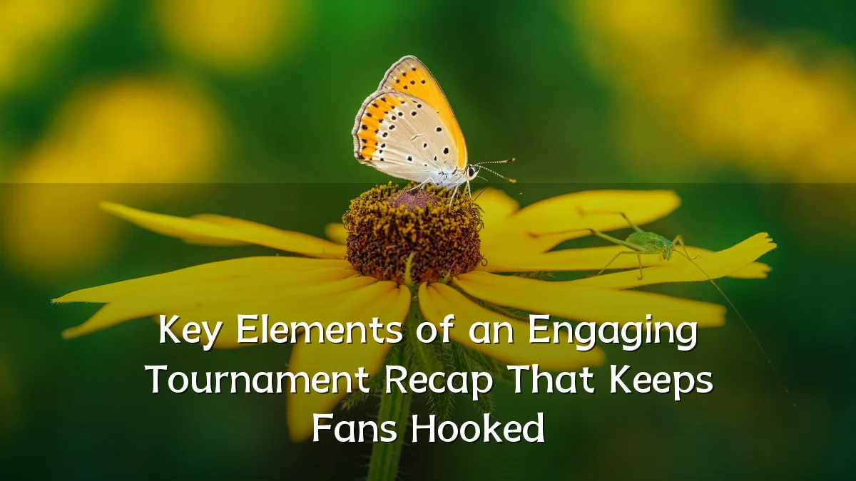Key Elements of an Engaging Tournament Recap That Keeps Fans Hooked