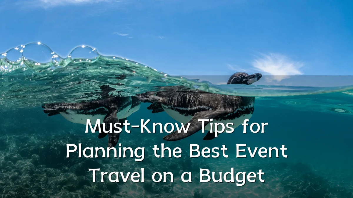 Must-Know Tips for Planning the Best Event Travel on a Budget