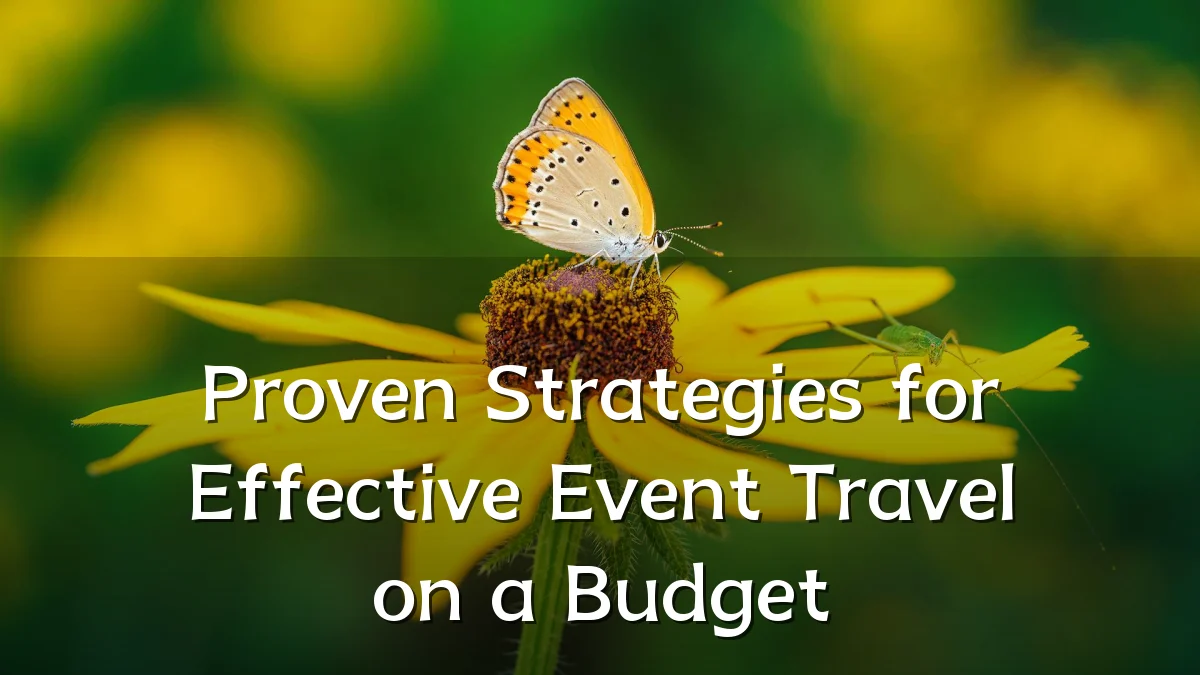 Proven Strategies for Effective Event Travel on a Budget