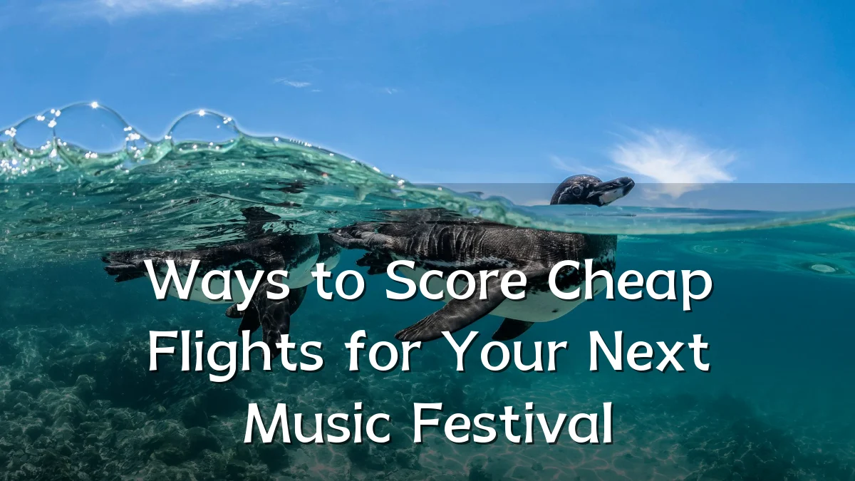 Ways to Score Cheap Flights for Your Next Music Festival