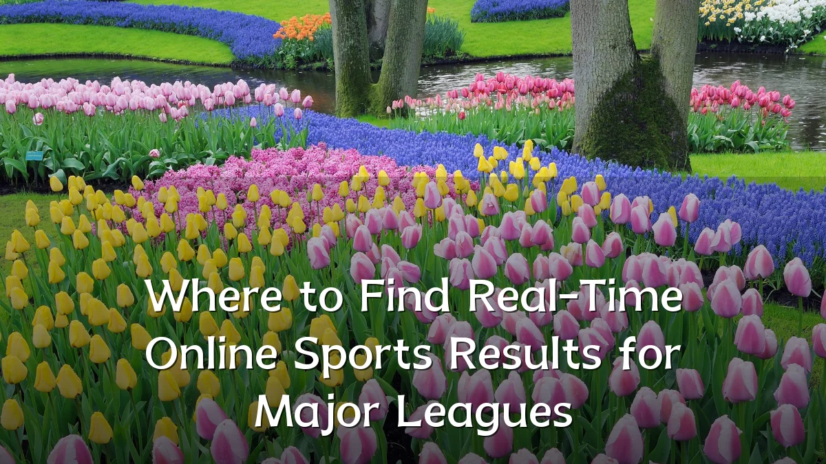Where to Find Real-Time Online Sports Results for Major Leagues