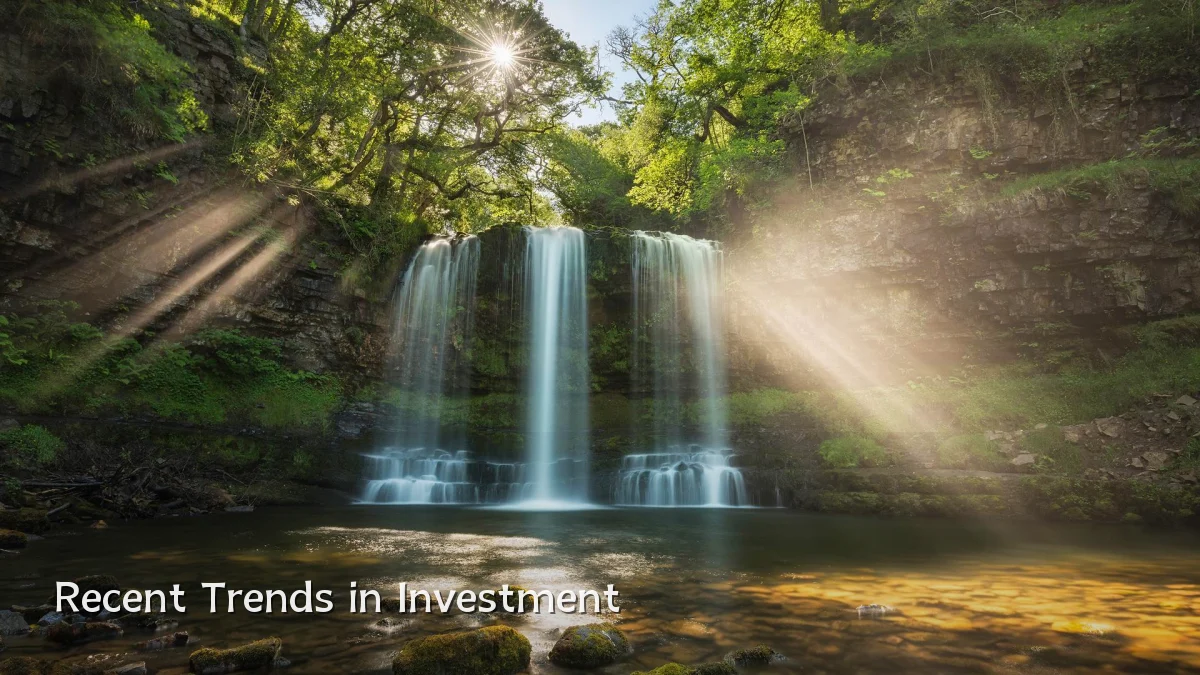 Recent Trends in Investment