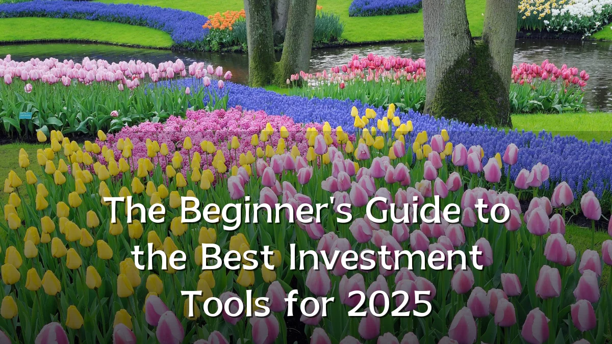 The Beginner's Guide to the Best Investment Tools for 2025