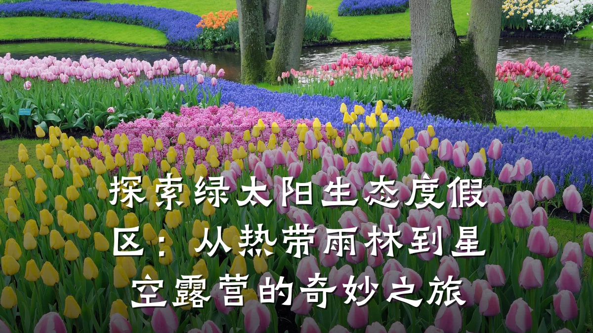 探索绿太阳生态度假区：从热带雨林到星空露营的奇妙之旅