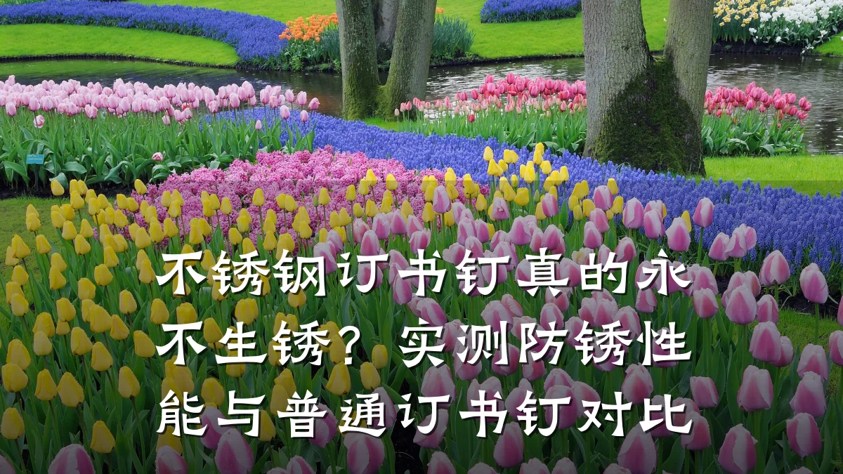 不锈钢订书钉真的永不生锈？实测防锈性能与普通订书钉对比