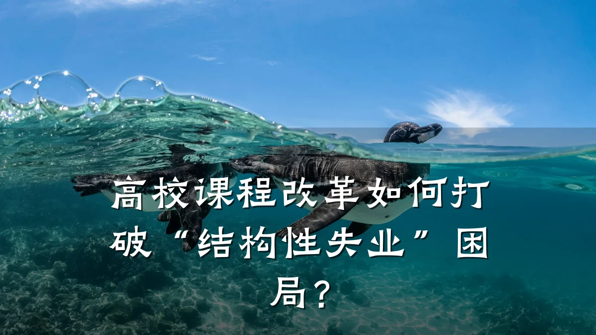 高校课程改革如何打破“结构性失业”困局？