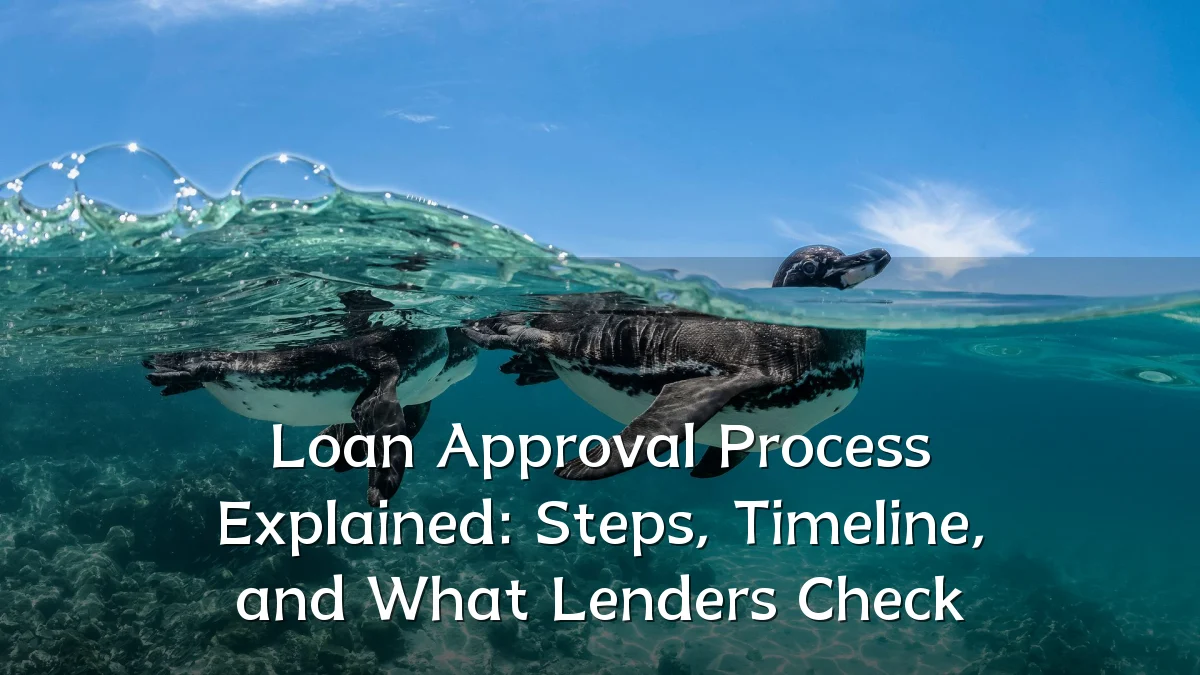 Loan Approval Process Explained: Steps, Timeline, and What Lenders Check