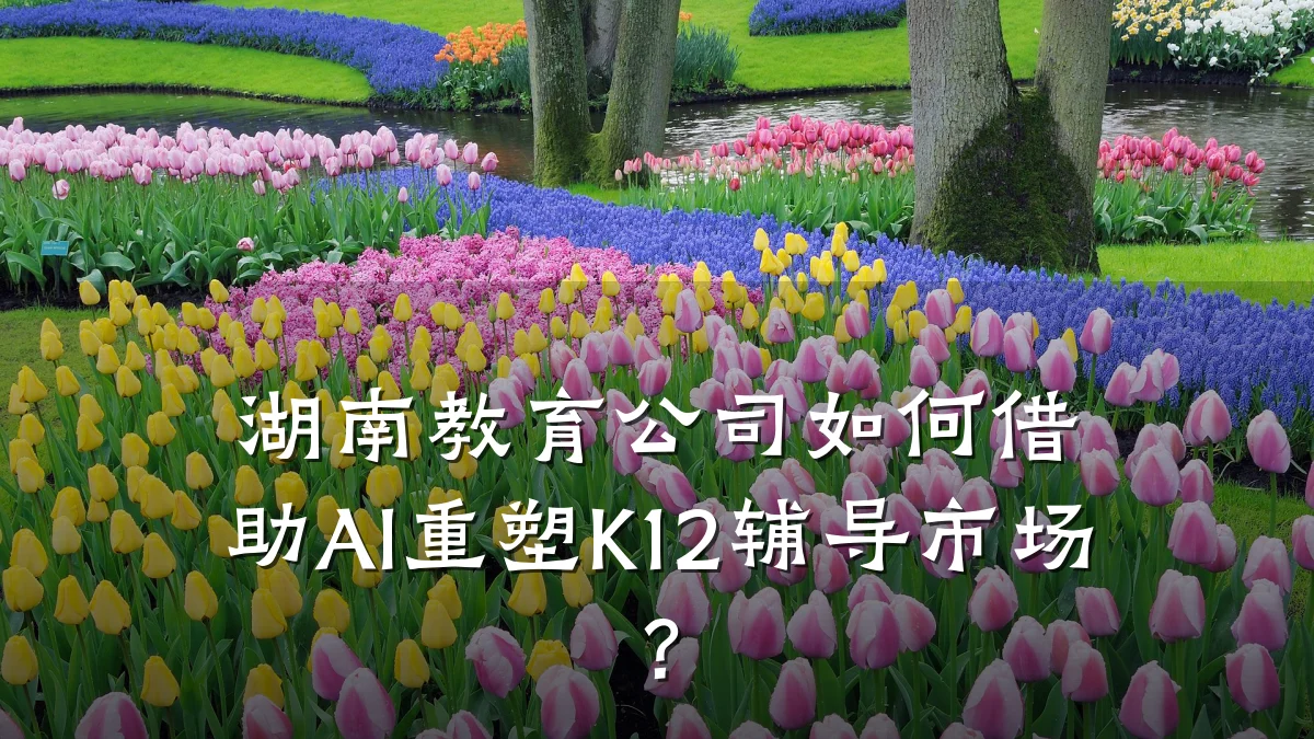 湖南教育公司如何借助AI重塑K12辅导市场?