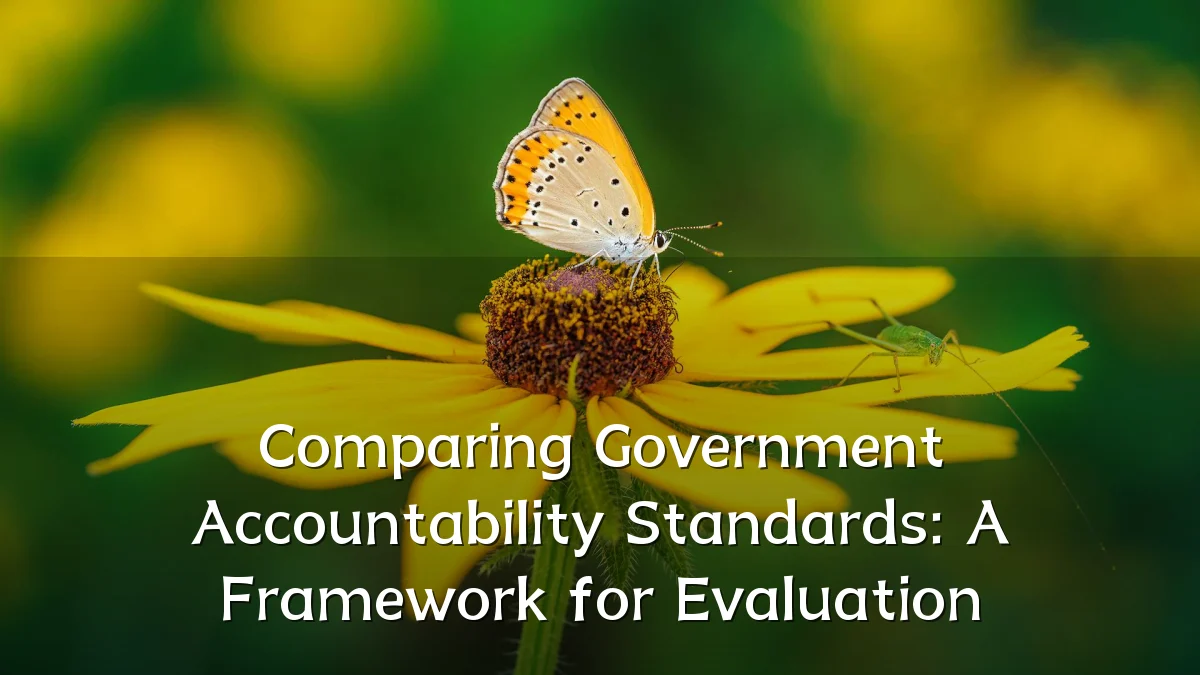 Comparing Government Accountability Standards: A Framework for Evaluation